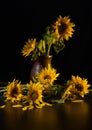 Beautiful bouquet of sunflowers in vase on a black table over black background Royalty Free Stock Photo