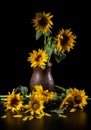 Beautiful bouquet of sunflowers in vase on a black table over black background Royalty Free Stock Photo