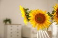 Beautiful bouquet of sunflowers in vase at home, closeup Royalty Free Stock Photo
