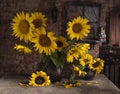 Beautiful bouquet of sunflowers in vase on a wooden table Royalty Free Stock Photo