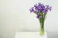 A beautiful bouquet of tender purple irises for a birthday gift in a vase of water on a white table on a white background.