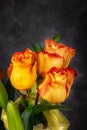 Beautiful flower bouquet of three yellow orange roses Royalty Free Stock Photo