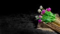 Beautiful bouquet of tulips on dark background