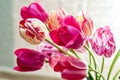 Beautiful bouquet of tulips for greeting card