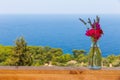 Beautiful bouquet in vase on wooden hand rail against seascape background Royalty Free Stock Photo