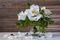 Beautiful bouquet of white flowers of peony Paeonia suffruticosa on a wooden background Royalty Free Stock Photo