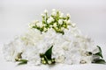 Beautiful bouquet of white Gardenia jasminoides flower. Royalty Free Stock Photo