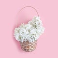 Beautiful bouquet of white hydrangea flowers in a wicker basket. floral composition on a pink background. flat lay, square frame Royalty Free Stock Photo