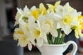 Bouquet of spring daffodils. Royalty Free Stock Photo