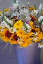 Beautiful bouquet of wild flowers Royalty Free Stock Photo