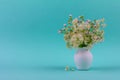 Beautiful bouquet of wild flowers chamomile and clematis in a white jug on a blue green background Royalty Free Stock Photo