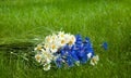 Beautiful bouquet wild flowers daisies and cornflowers