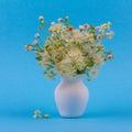 Beautiful bouquet of wild flowers in a white jug on a blue background close-up Royalty Free Stock Photo