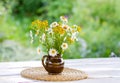 Beautiful bouquet of wildflowers against the background of a summer garden. Flowers in ceramic vase on wicker mat on a white Royalty Free Stock Photo