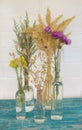 Beautiful bouquet of wildflowers in a variety of bottles on a white background. Beige furry spikes, gray wormwood, bright daisies