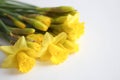 Beautiful bouquet of yellow daffodils flowers isolated on white background. Flat lay, top view. Spring flowers. Gift cards design Royalty Free Stock Photo