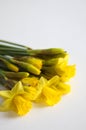 Beautiful bouquet of yellow daffodils flowers isolated on white background. Flat lay, top view. Spring flowers. Gift cards design Royalty Free Stock Photo