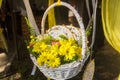 Beautiful bouquet of yellow flowers Royalty Free Stock Photo