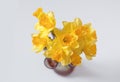 Beautiful bouquet of yellow narcisus flowers in a glass vase. Royalty Free Stock Photo