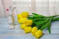 Beautiful bouquet of yellow tulips on a blue wooden background. Royalty Free Stock Photo
