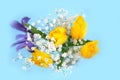 Beautiful bouquet of yellow tulips, iris and baby's-breath on blue background. Royalty Free Stock Photo