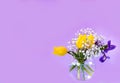 Beautiful bouquet of yellow tulips, iris and baby's-breath in round glass bowl on violet background. Royalty Free Stock Photo