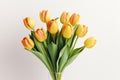 beautiful bouquet of yellow tulips isolated on white background Royalty Free Stock Photo
