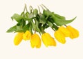 Beautiful bouquet of yellow tulips on a white background