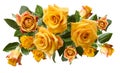 Beautiful bouquet of yellowish orange roses isolated on white background Royalty Free Stock Photo