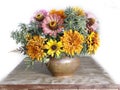 Beautiful bouquet of Zinnia flowers in a vase with water on a white background. Royalty Free Stock Photo