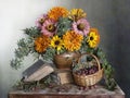 A beautiful bouquet of zinnias in a vase with water and gooseberry berries in a basket Royalty Free Stock Photo