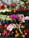 Beautiful bouquets of roses, lilies, carnations, chrysanthemums in Amsterdam stores.