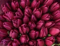 Beautiful bouquets of tulip flowers, top view
