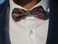 Beautiful bow tie of a knight of intense colors and very discreet