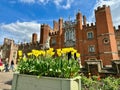 Beautiful box of yellow tulips with Hampton Court Palace in the background.