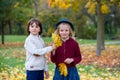 Beautiful boy and girl in a park, boy giving flowers to the girl Royalty Free Stock Photo