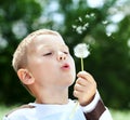 Beautiful Boy in the park blowing on dandelion Royalty Free Stock Photo