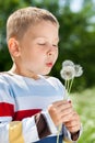 Beautiful Boy in the park blowing on dandelion Royalty Free Stock Photo