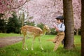 Beautiful boy, standing in a cherry blossom gardenwith little foe Royalty Free Stock Photo