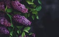 beautiful branch of lilac flowers on a dark green blurred background. long natural banner. concept for spring greetings