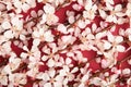 Beautiful branches of pink Cherry blossoms background. Royalty Free Stock Photo