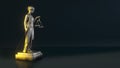 beautiful brass Lady Justice figure with law sign