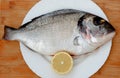 Beautiful bream on a dish