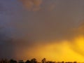 Beautiful Breathtaking Golden Tuscon Sunset