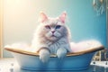 Beautiful breed cat in luxury bath. Grooming concept. Free Space