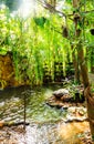 beautiful and breezy garden in coffee shop