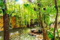 beautiful and breezy garden in coffee shop