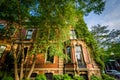 Beautiful brick rowhouses in Back Bay, Boston, Massachusetts. Royalty Free Stock Photo