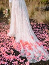 Beautiful bridal dress and pink petals after wedding ceremony Royalty Free Stock Photo