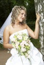 Beautiful bride Royalty Free Stock Photo